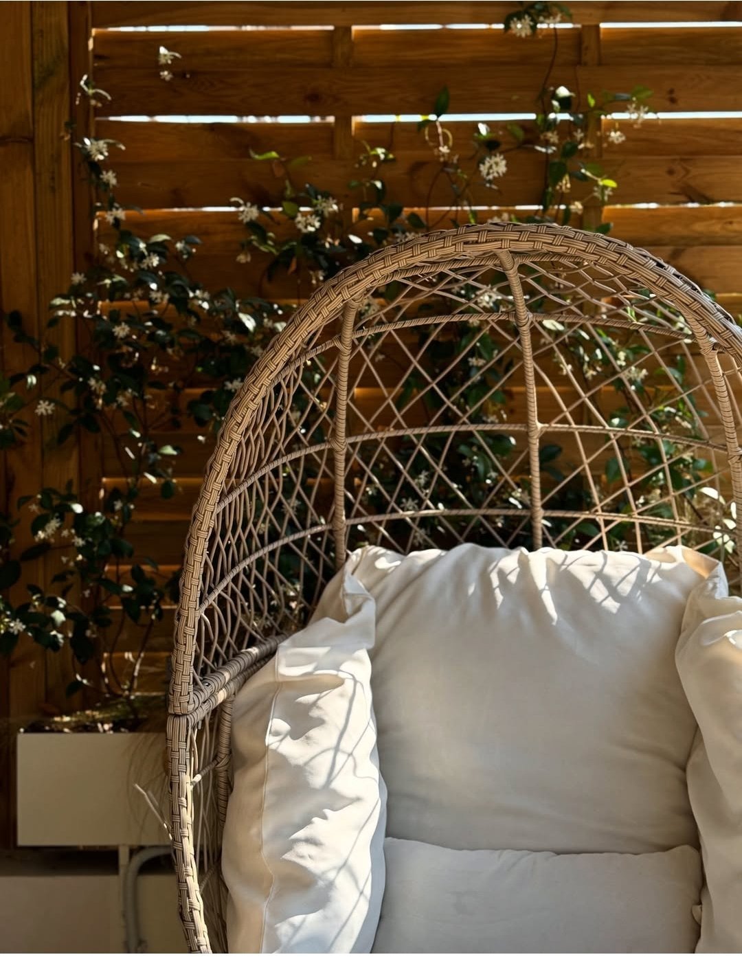 Woven rattan egg chair with white cushions against wooden wall with climbing ivy plants